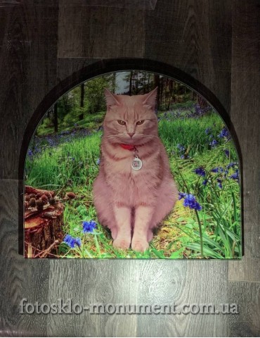 Фото під склом на пам'ятник №585