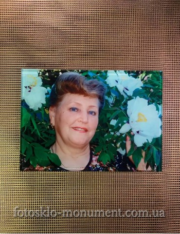 Фото під склом на пам'ятник №521